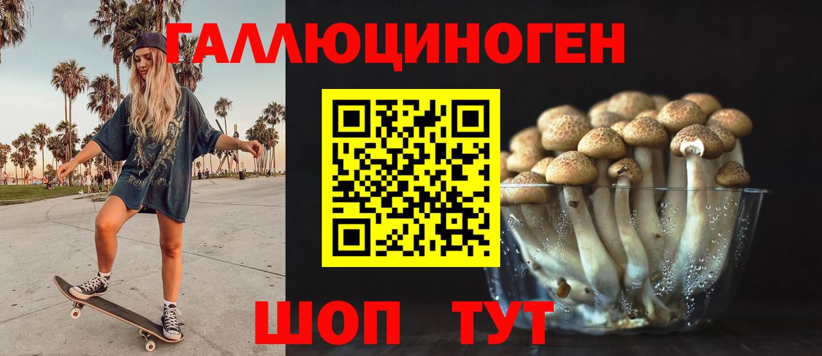 Сергиев Посад  Галлюциногенные грибы Cubensis  Вход с VPN 