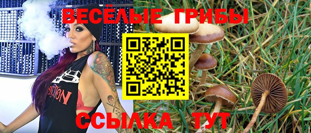 Псилоцибиновые грибы Psilocybine cubensis Сергиев Посад